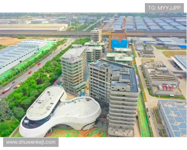 365国际：开启全球商务合作新篇章，助力企业迈向国际化发展